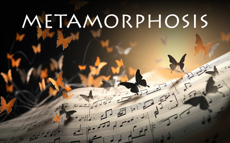 The Metamorphosis concert is a fascinating exploration of how music is composed and developed.
